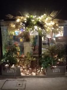 a store front with plants and lights at night at le dit vin secret in Aigues-Mortes