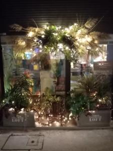 a store front with plants and lights at night at le dit vin secret in Aigues-Mortes +11 photos