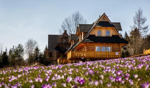 a log cabin with a field of purple flowers at TatryTop Osada Luxury Chalets Kościelisko in Kościelisko