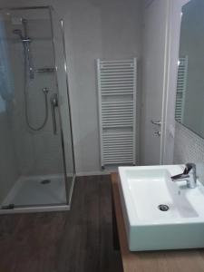a white bathroom with a shower and a sink at Antico Podere Emilia in Reggio Emilia +17 photos