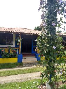 uma casa com uma planta em frente em Finca Hotel La Esmeralda Casa 1 em Calarcá