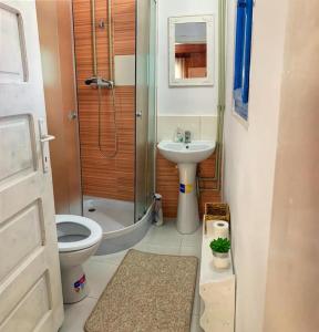 a bathroom with a shower toilet and a sink at Căsuța Măriei in Borşa