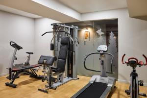 Fitnes oz. oprema za telovadbo v nastanitvi Hotel Indigo Madrid - Princesa, an IHG Hotel