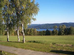 Gallery image of Chata OSTRUZINA 10+2 in Lipno nad Vltavou