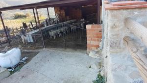 Kép cortijo la laguna szállásáról Rondában a galériában
