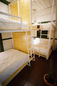 two bunk beds in a room with a plant at Barn Laos Hostel in Vientiane