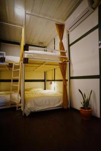 a bedroom with two bunk beds and a plant at Barn Laos Hostel in Vientiane