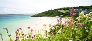 a beach with a group of people in the water and flowers at 27 The Terrace in St Ives