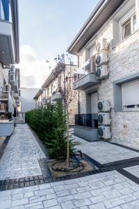 Gallery image of Nika Apartment in Hanioti