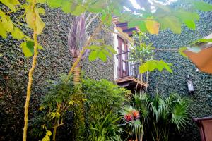 Aed väljaspool majutusasutust Meson del Alferez Coatepec