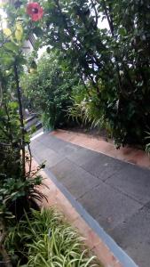 Aed väljaspool majutusasutust Meson del Alferez Coatepec