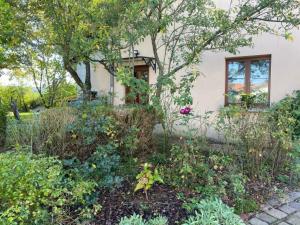 a garden in front of a house at Mirabelle, parking privé clos, petit déjeuner, enfants et animaux bienvenus in Chieulles