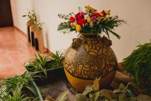 Fotografie z fotogalerie ubytování Posada Kin v destinaci Palenque