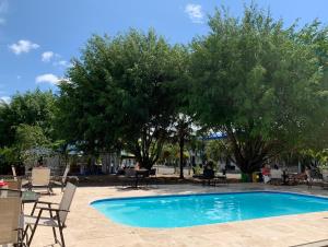 a swimming pool with chairs and tables and trees at Hotel Las Palmas de OSA in Ciudad Cortés