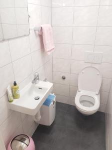 Baño blanco con aseo y lavamanos en Friendly Hostel Zürich en Zúrich