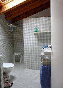 FuentidueñaにあるCasa Las Viñasのトイレと洗面台付きのバスルーム