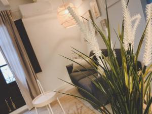 埃爾瓦斯的住宿－La Antigua Fonda，一间带植物和椅子的客厅