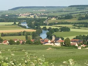 Blick auf eine Stadt und einen Fluss auf einem Feld in der Unterkunft Villa l'INSOUCIANCE en Champagne in Vincelles
