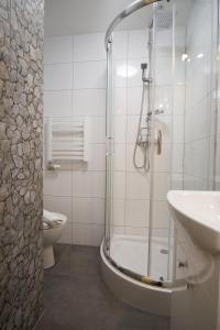 ein Bad mit einer Dusche, einem Waschbecken und einem WC in der Unterkunft Apartamenty "Pod Tatrami" in Zakopane
