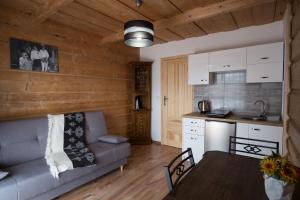 ein Wohnzimmer mit einem Sofa und einer Küche in der Unterkunft Apartamenty "Pod Tatrami" in Zakopane