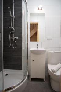 ein Bad mit einer Dusche, einem WC und einem Waschbecken in der Unterkunft Apartamenty "Pod Tatrami" in Zakopane