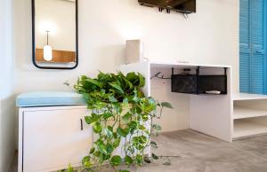 a bathroom with a mirror and a plant at Casa Pia in Sayulita