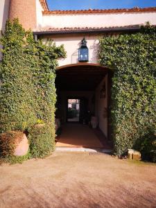 an entrance to a building with a tunnel with ivy at Caserio de Lobones in Segovia