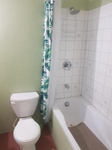 W łazience znajduje się toaleta, wanna i prysznic. w obiekcie Careffe Suites Unit 4 w mieście Cap Estate
