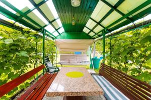 Apartments Green Paradise في بوينج: مقعد جالس داخل بيت زجاجي به اشجار