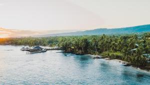 an aerial view of a river with palm trees at Sinalei Reef Resort & Spa in Maninoa
