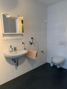 La salle de bains blanche est pourvue d'un lavabo et de toilettes. dans l'établissement Pension Hannes, à Kirn