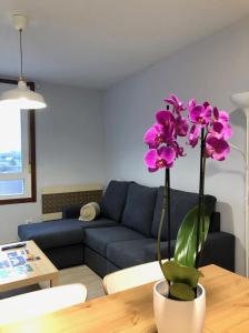 un soggiorno con divano blu e tavolo con fiori viola di Lemos Nube a Monforte de Lemos