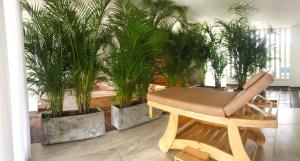 Mynd úr myndasafni af Cotinga Hotel Spa í Pereira