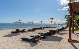 a beach with chairs and umbrellas and the ocean at Mereva Tulum in Tulum