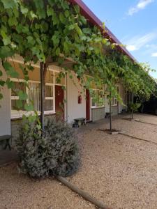 WinkieGlossop Motel的建筑物前的树