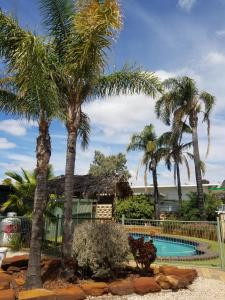 a resort with a swimming pool and palm trees at Glossop Motel in Winkie
