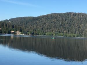 a lake with a boat in the middle of it at Le Ptit Hotel du Lac in Gérardmer