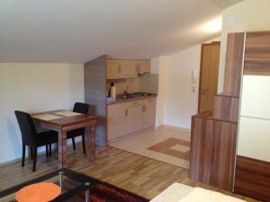 Kuchyň nebo kuchyňský kout v ubytování Alpe-Adria Apartments