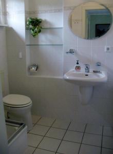 a bathroom with a toilet and a sink and a mirror at Fuchsbau in Schwedt