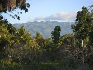 a view of a jungle with mountains in the background at Jasmin's Room Rental in Moalboal