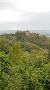 Příroda nedaleko bed and breakfast