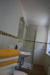 ヴィリンゲンにあるFerienwohnung Ortsmitte-Willingenのバスルーム(シンク、シャワー、トイレ付)