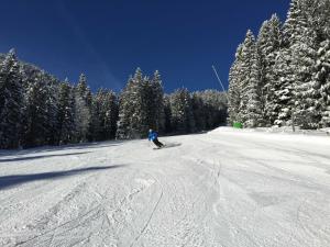 una persona está esquiando por una pista cubierta de nieve en Ferienwohnung Sennhofer, en Glashütte