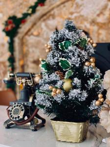Una cámara anticuada y un árbol de Navidad en PARADISE HOTEL en Tam Ðảo