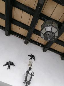 ベヘール・デ・ラ・フロンテーラにあるCasa Aguamarinaの天井三鳥