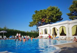 維耶斯泰的住宿－Villaggio Alba Chiara，一群人在游泳池游泳