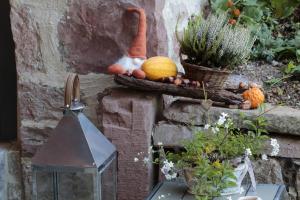 Zahrada ubytování Tauber Relax Loft