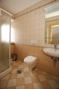a bathroom with a toilet and a sink at Apartments Janks in Vremski Britof +12 photos