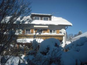 Haus Edelsbergblick v zimě