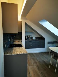 Kuchyň nebo kuchyňský kout v ubytování Sissi Apartments